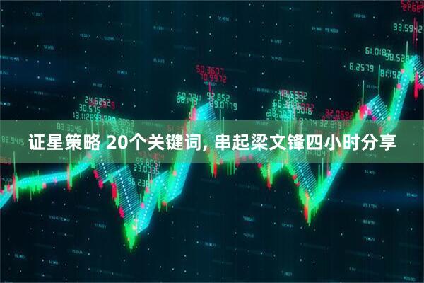 证星策略 20个关键词, 串起梁文锋四小时分享